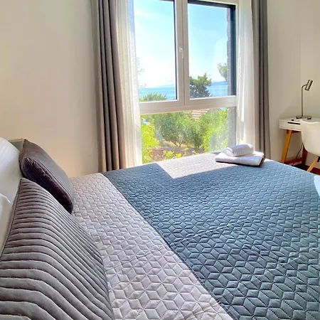 Nautilus-bay - Exklusive In Erster Reihe - 320 * Zavala